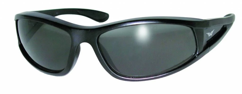 Integrity 2 Zonnebril